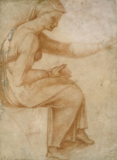 Detail van het plafond van de Sixtijnse Kapel door Michelangelo Buonarroti